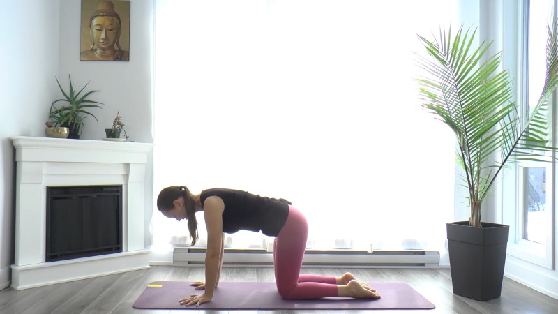7. Power yoga, Dynamique - Yoga tonus - Ouvrir son coeur avec Maryse Lehoux